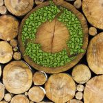 Sustainable inditex a1322 2025 esgn