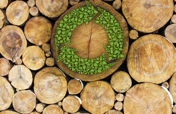 Sustainable inditex a1322 2025 esgn